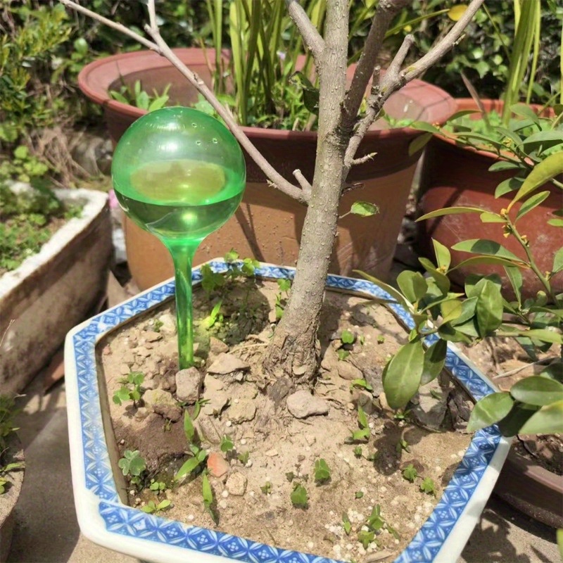 6個入り 室内植物用自動給水ボール 自動植物花水球 ドリップ - Smart Garden Technology のレビューと価格