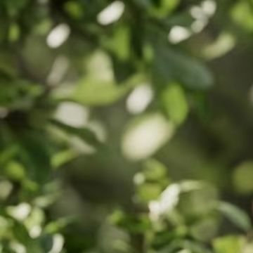 スマート降雨センサー付き自動灌漑タイマー、家庭菜園用節水装置 - Smart Garden Devices のレビューと価格